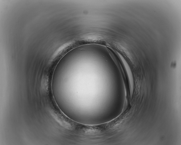 X0000089350400200706221143