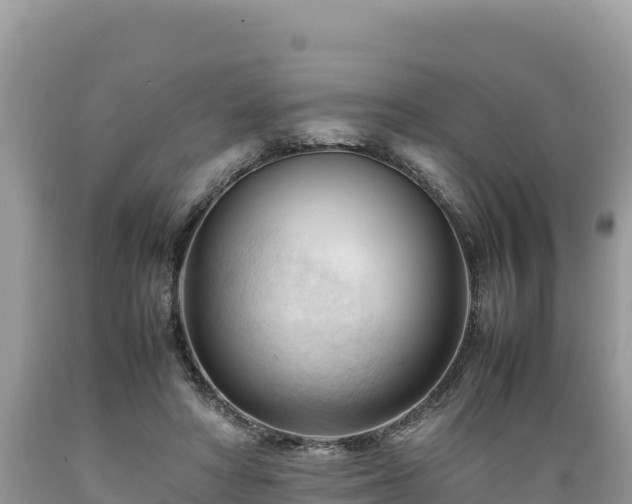 X0000089350402200706221143