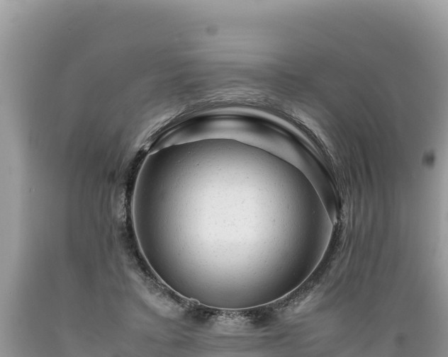 X0000089350403200706221143