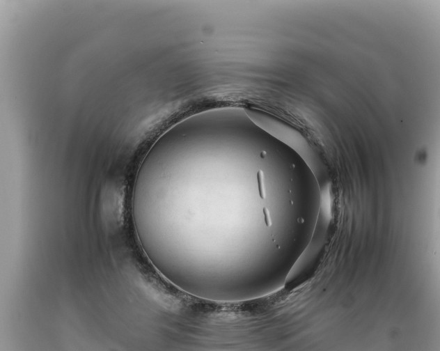 X0000089350404200706221143