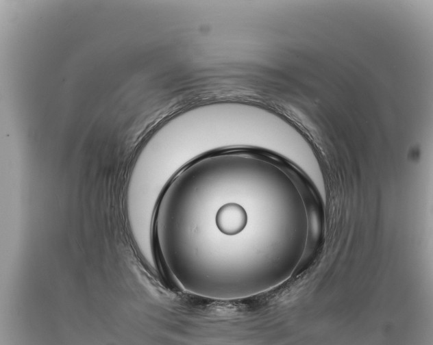 X0000089350405200706221143