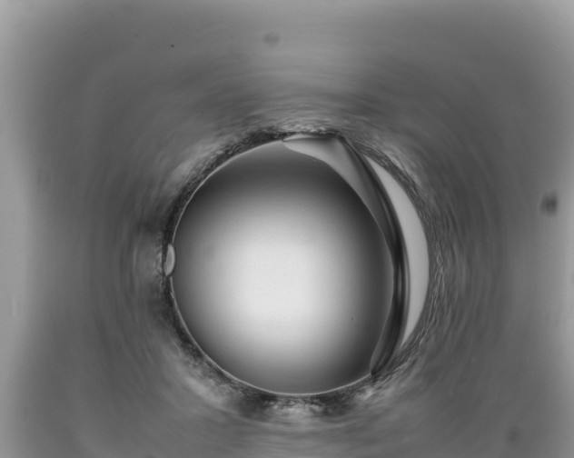 X0000089350407200706221143