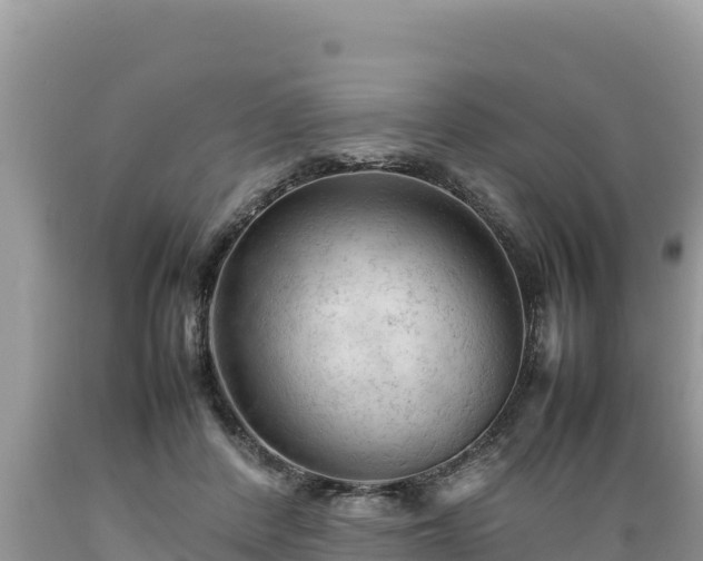 X0000089350408200706221143
