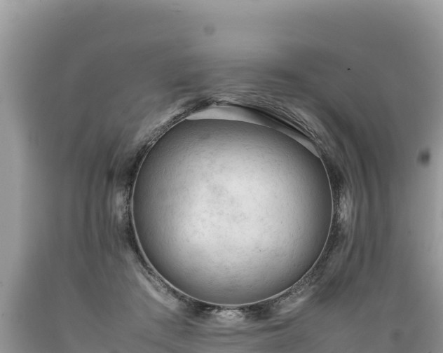X0000089350409200706221143