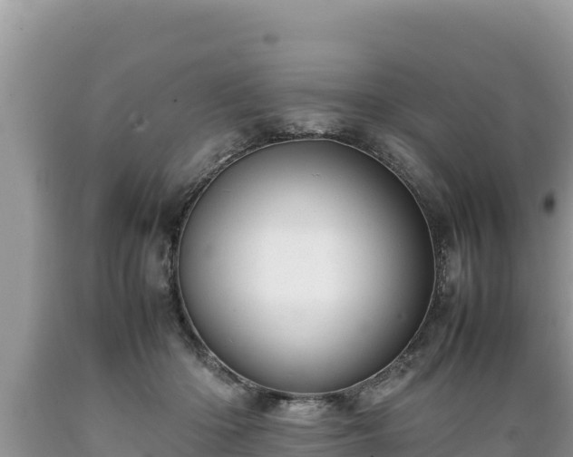 X0000089350414200706221143