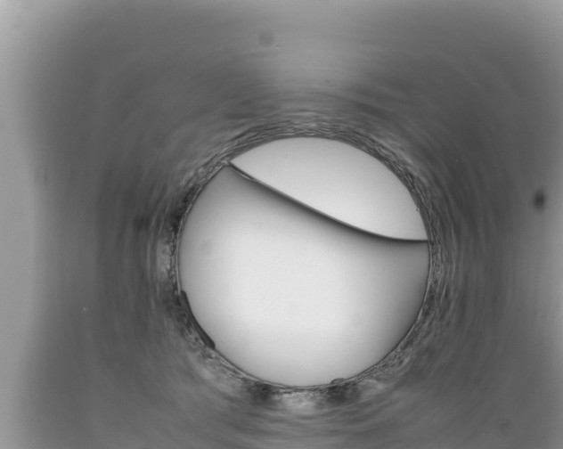 X0000089350417200706221142