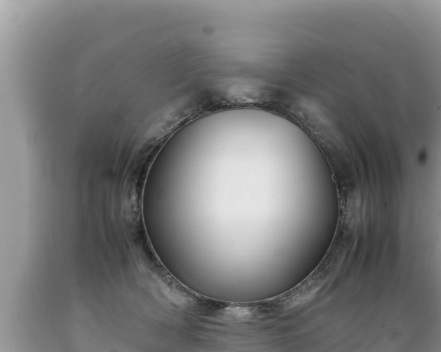 X0000089350418200706221142