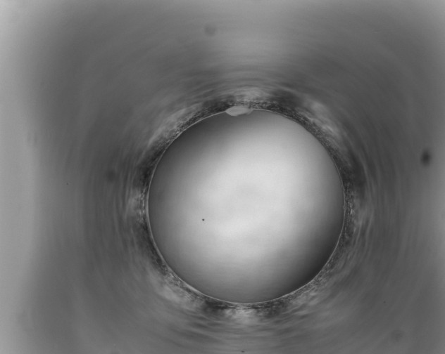 X0000089350419200706221142