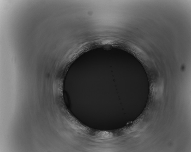 X0000089350421200706221142