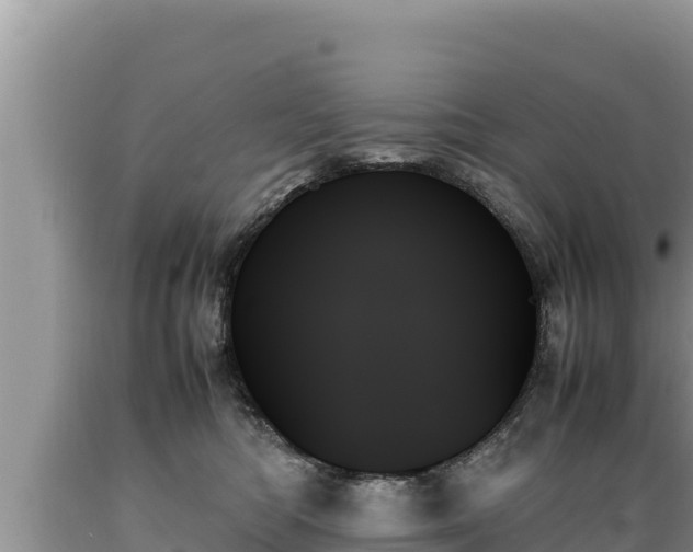 X0000089350422200706221142