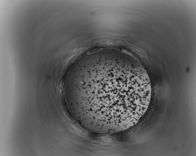 X0000089350423200706221142