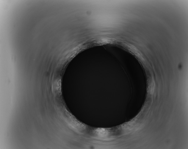 X0000089350425200706221142