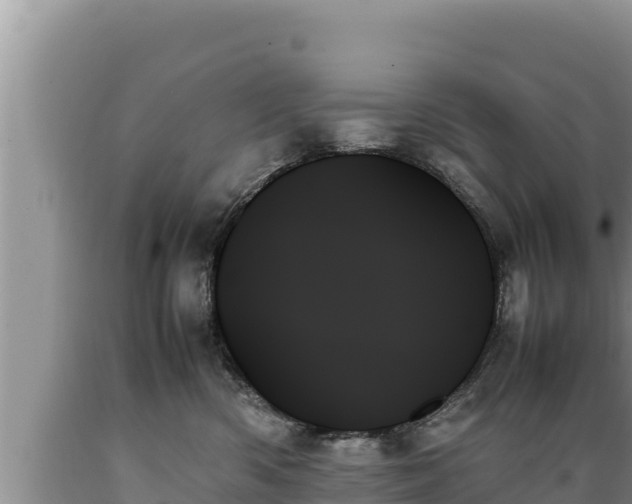 X0000089350426200706221142