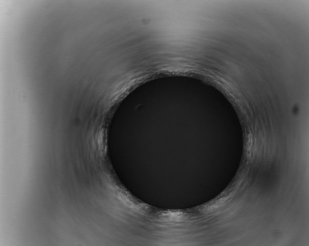 X0000089350428200706221142