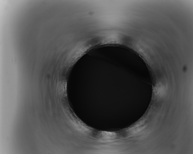X0000089350429200706221142