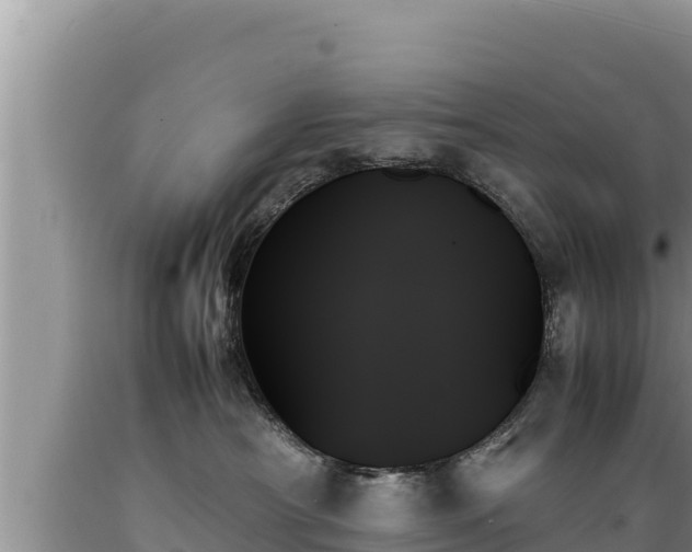 X0000089350430200706221142