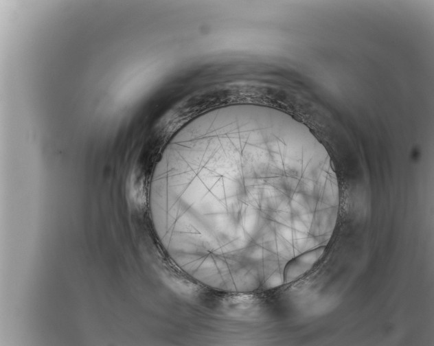 X0000089350431200706221142
