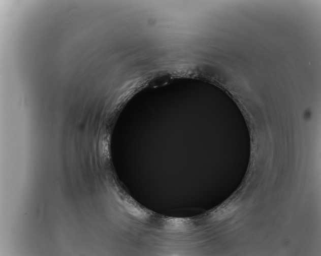 X0000089350432200706221142