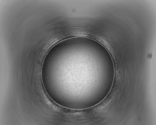 X0000089350433200706221142