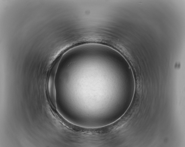 X0000089350434200706221142