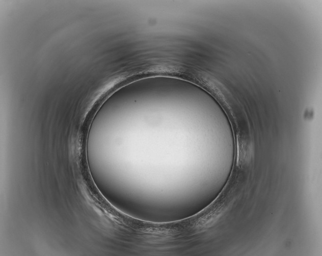 X0000089350435200706221142