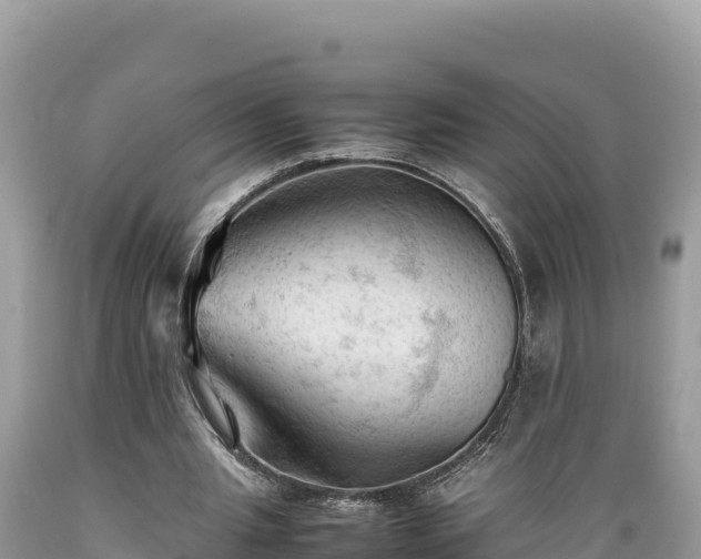 X0000089350437200706221142