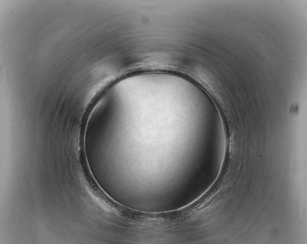 X0000089350438200706221142