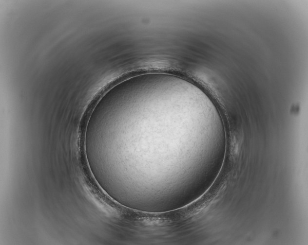 X0000089350439200706221142