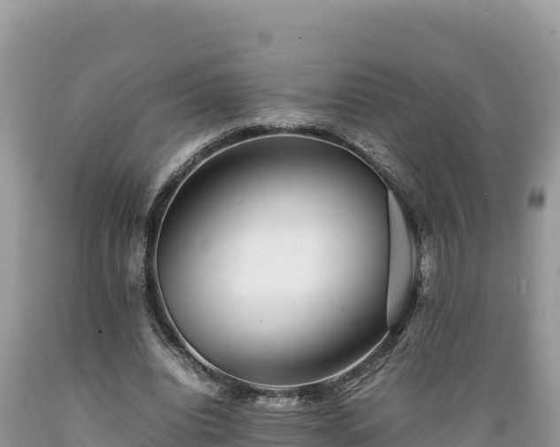 X0000089350440200706221142
