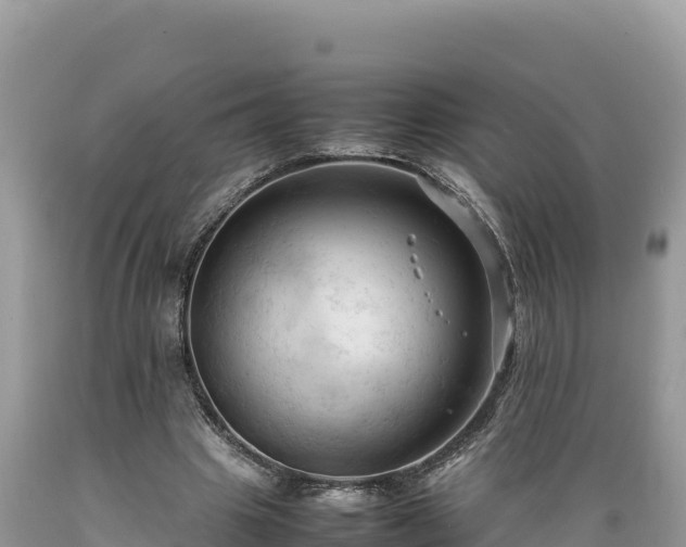 X0000089350441200706221142