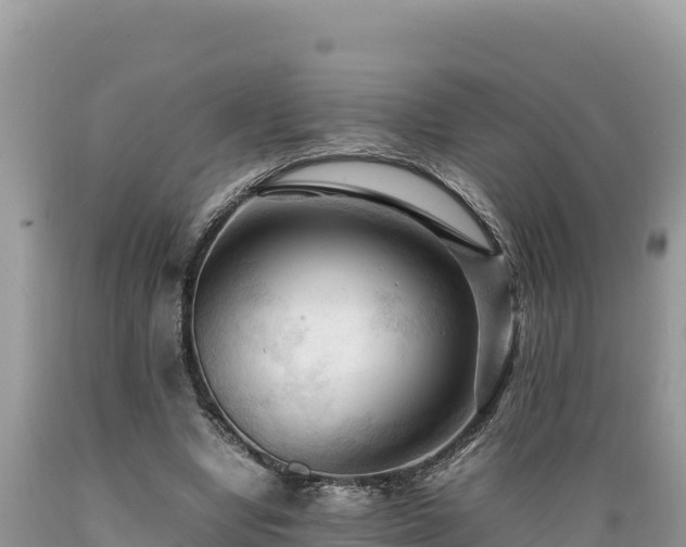 X0000089350442200706221142