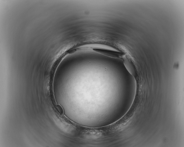 X0000089350443200706221142