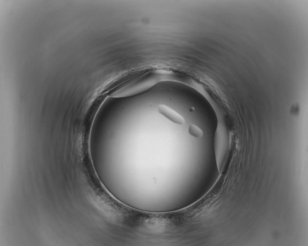 X0000089350444200706221142