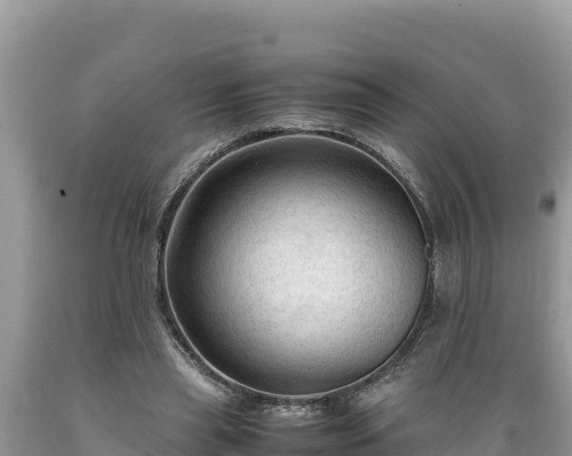 X0000089350445200706221142