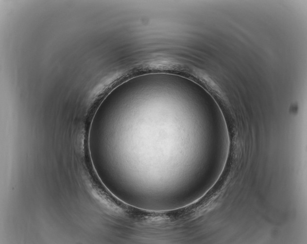 X0000089350446200706221142