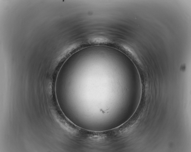 X0000089350447200706221142