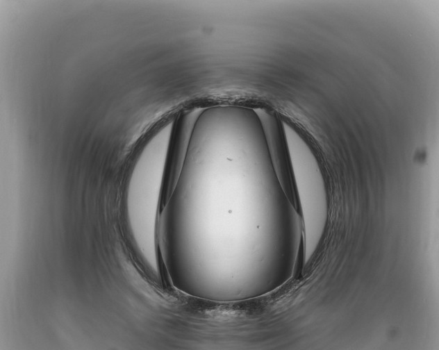 X0000089350448200706221142