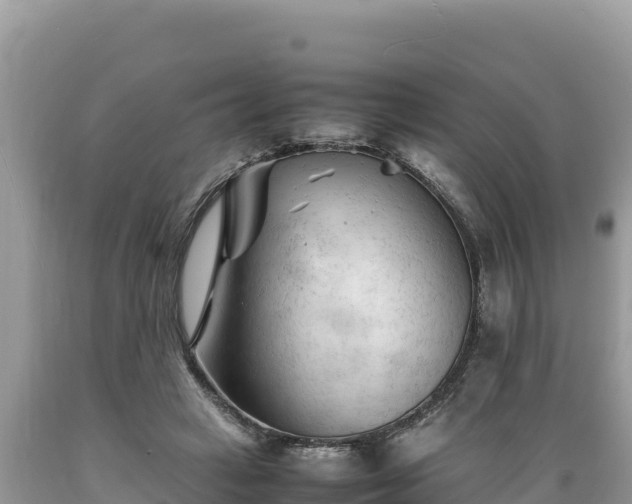 X0000089350449200706221142