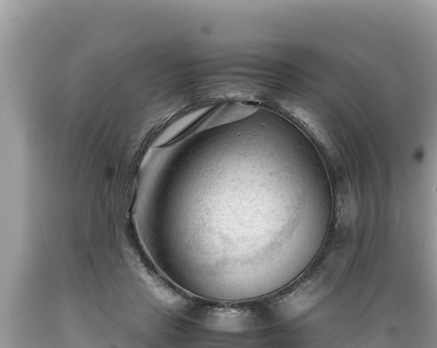 X0000089350453200706221142