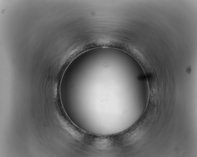 X0000089350454200706221142