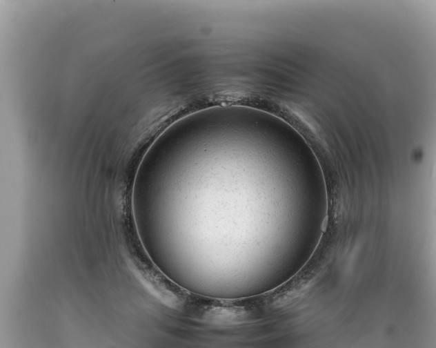 X0000089350455200706221142