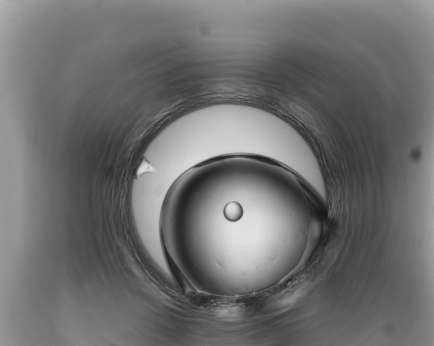 X0000089350456200706221142