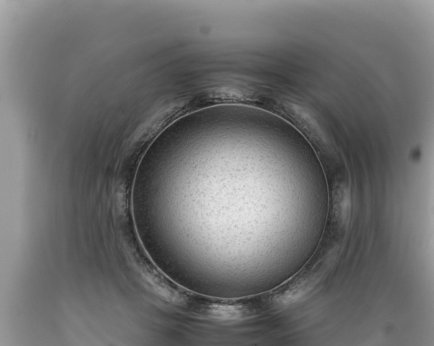 X0000089350457200706221142