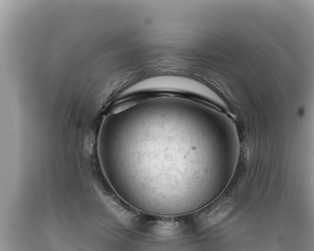 X0000089350458200706221142