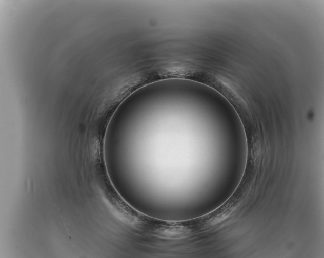 X0000089350459200706221142