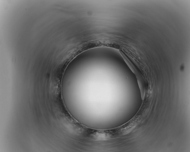 X0000089350464200706221142