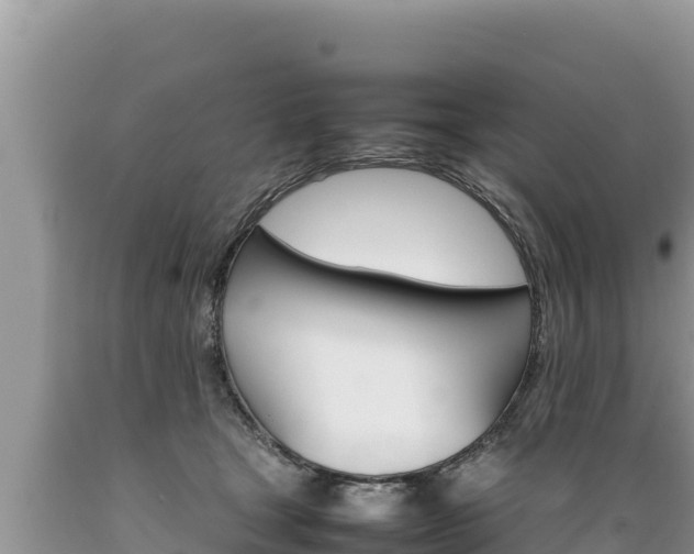 X0000089350465200706221142