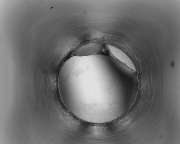 X0000089350466200706221142