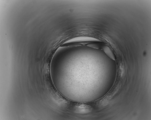 X0000089350467200706221142