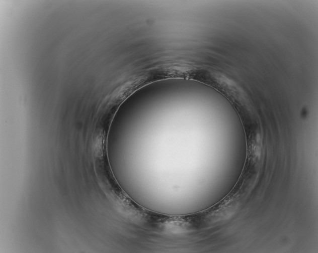 X0000089350468200706221142